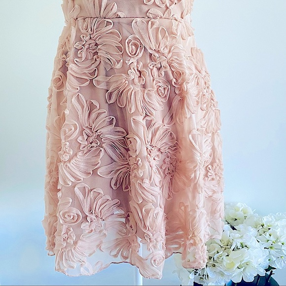 💕Fit and Flare Mesh Dress SZ S - Picture 9 of 15